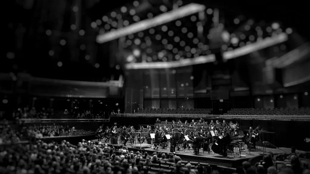 Performance & Stage